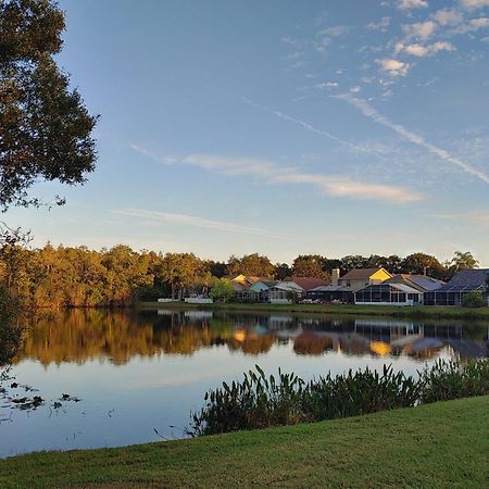 Cozy And Conveniently Located Pool Home With Free Wifi Tampa Zewnętrze zdjęcie