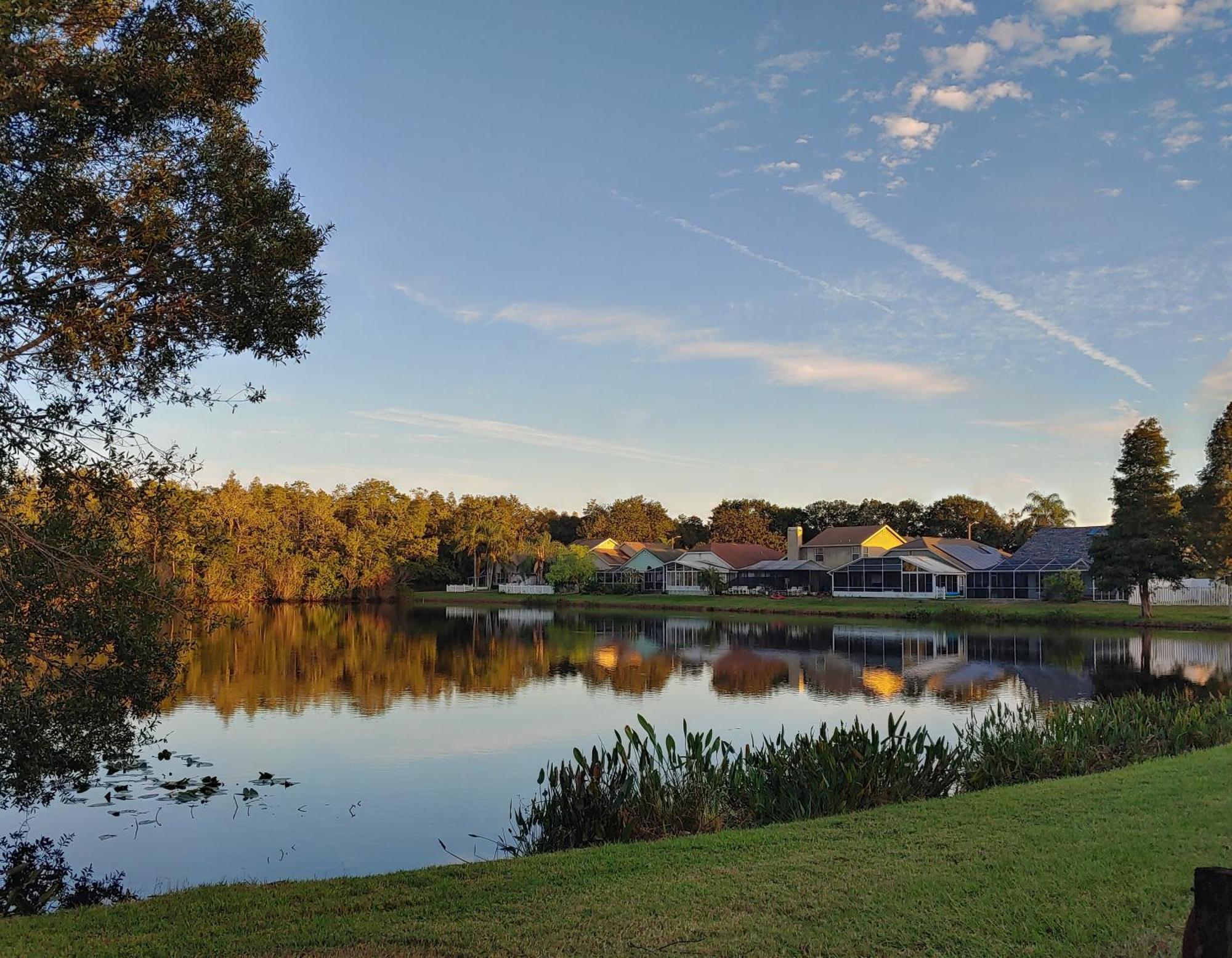 Cozy And Conveniently Located Pool Home With Free Wifi Tampa Zewnętrze zdjęcie