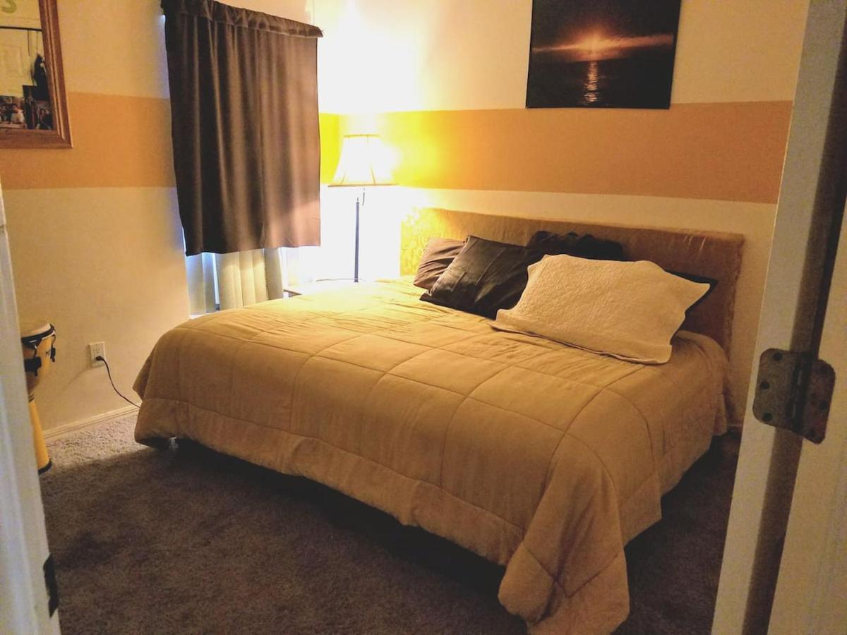 Cozy And Conveniently Located Pool Home With Free Wifi Tampa Zewnętrze zdjęcie