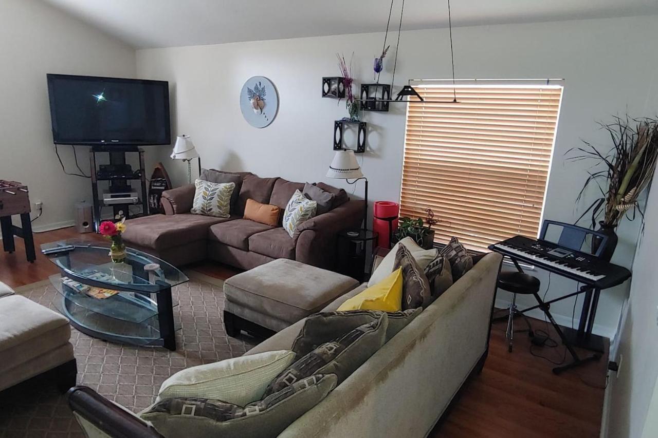 Cozy And Conveniently Located Pool Home With Free Wifi Tampa Zewnętrze zdjęcie