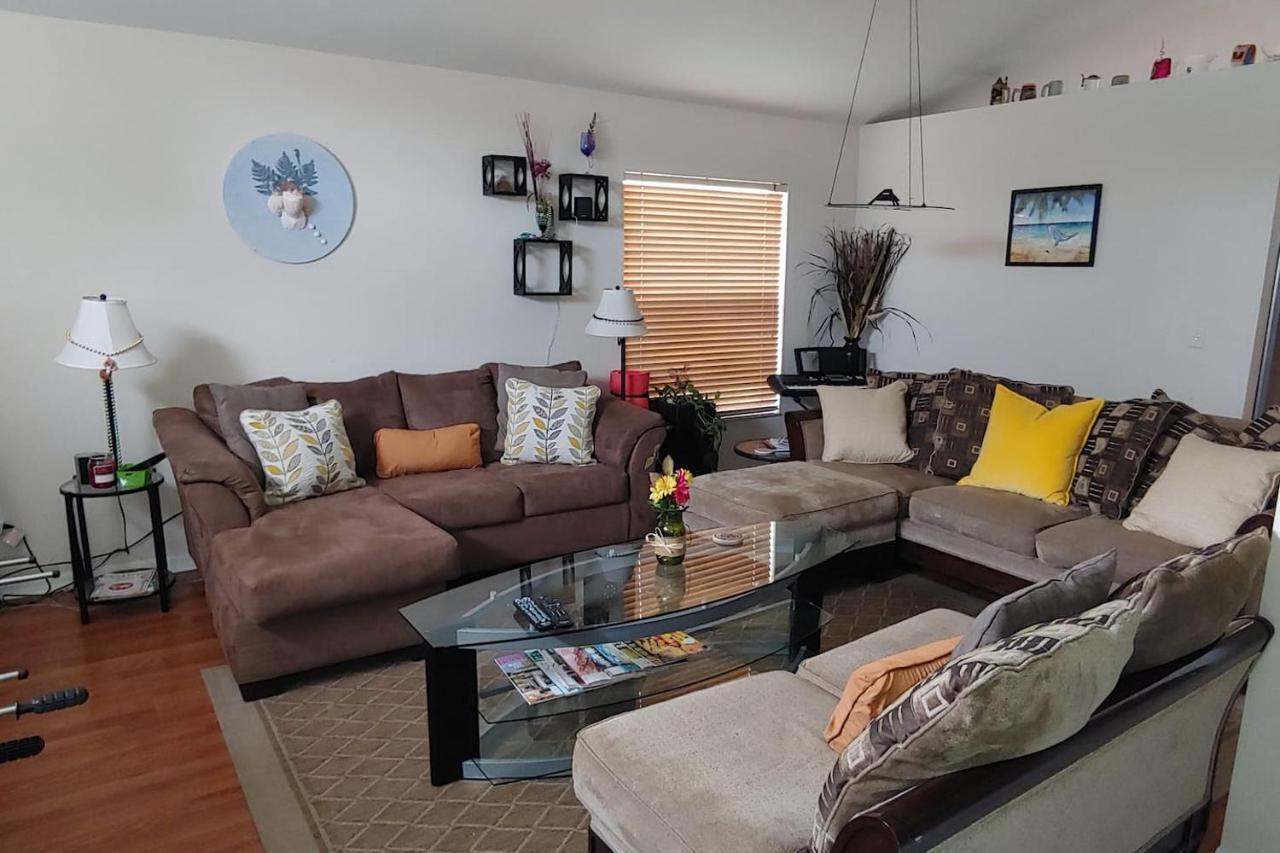 Cozy And Conveniently Located Pool Home With Free Wifi Tampa Zewnętrze zdjęcie