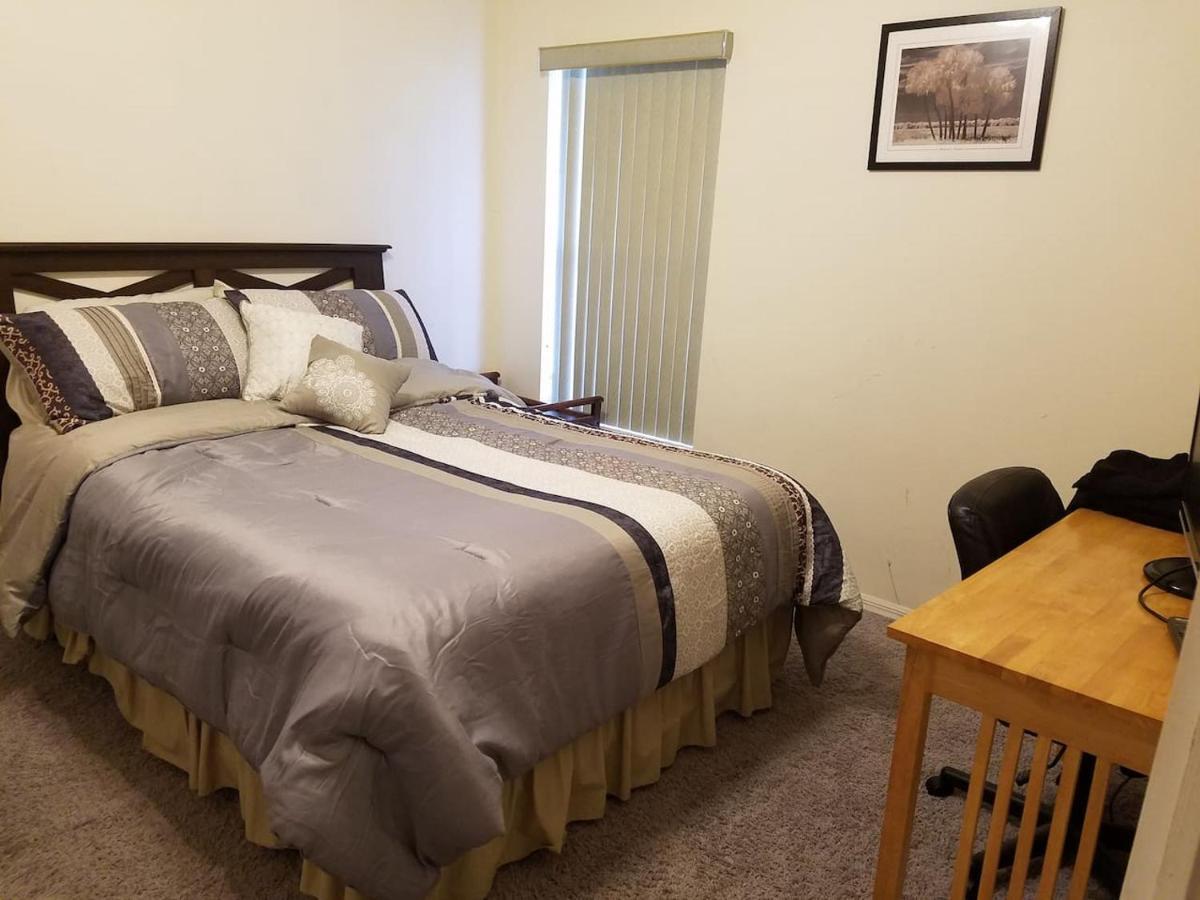 Cozy And Conveniently Located Pool Home With Free Wifi Tampa Zewnętrze zdjęcie