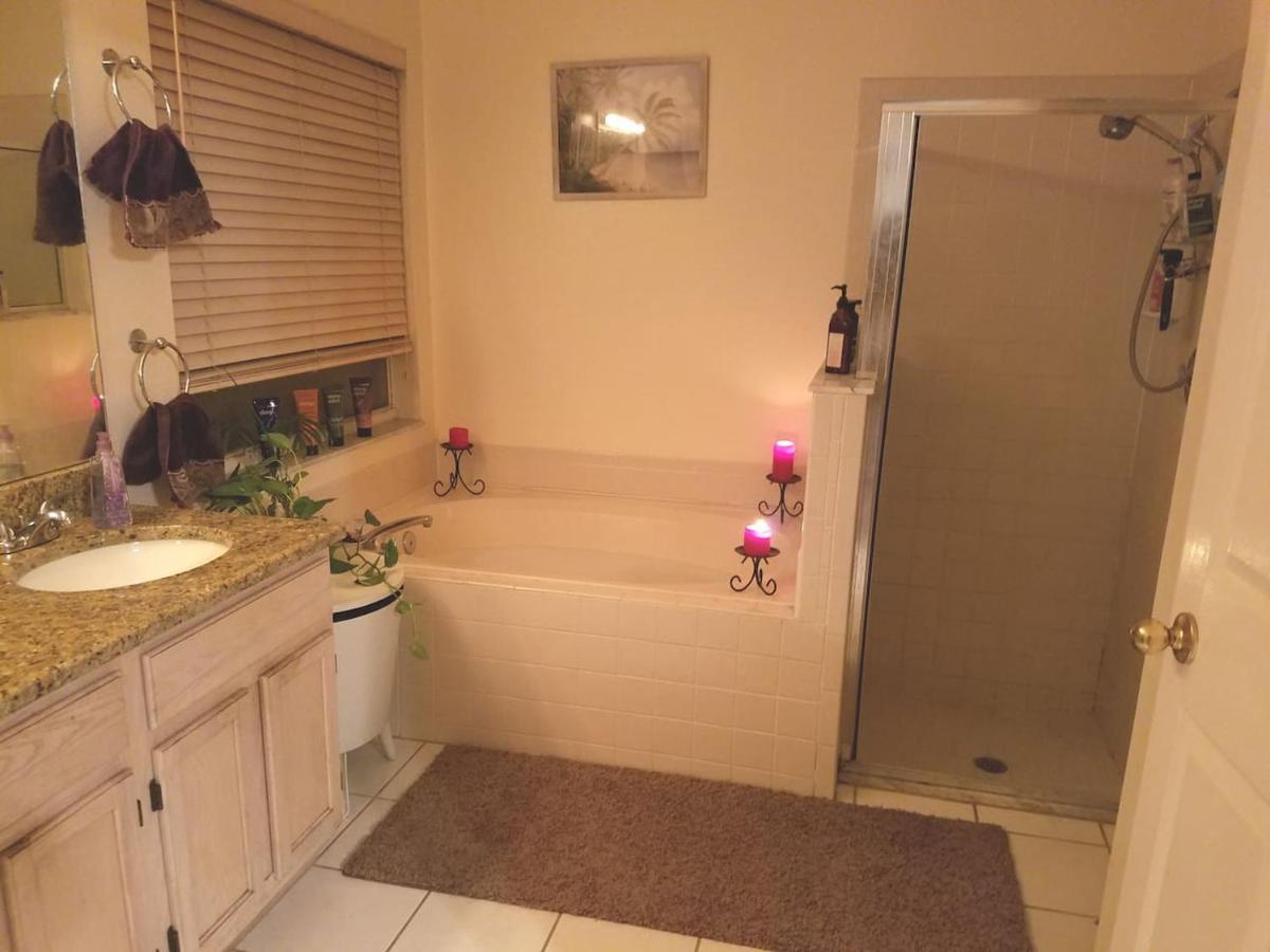 Cozy And Conveniently Located Pool Home With Free Wifi Tampa Zewnętrze zdjęcie