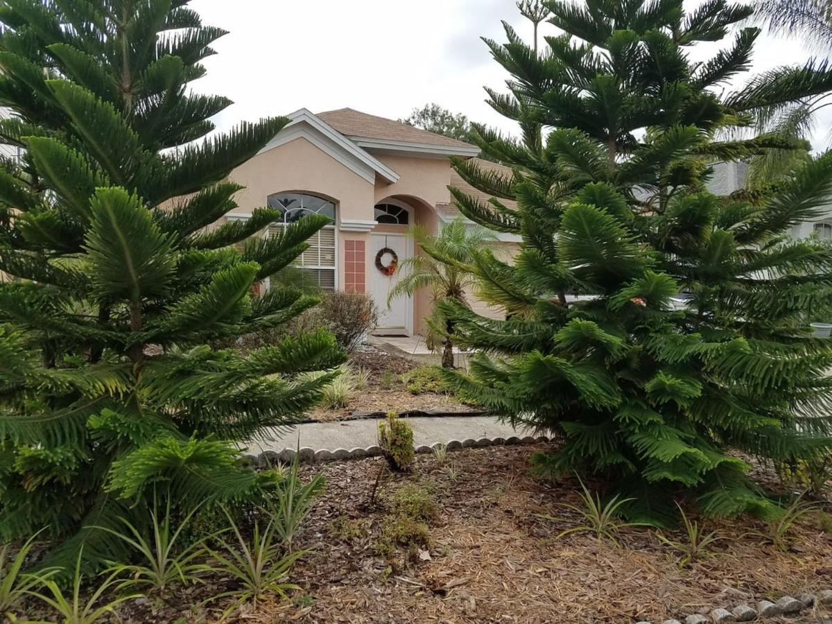 Cozy And Conveniently Located Pool Home With Free Wifi Tampa Zewnętrze zdjęcie